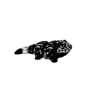 Tegu