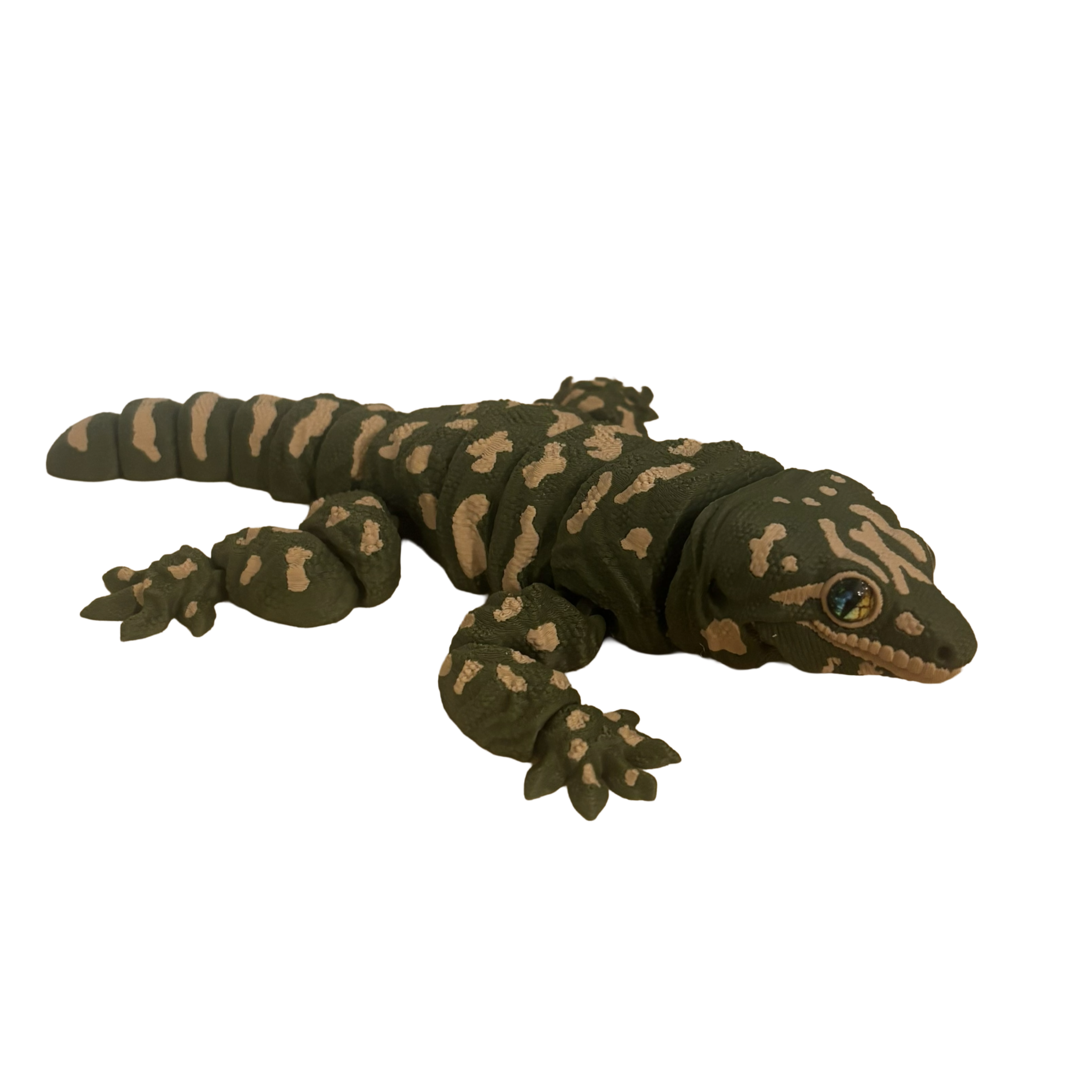 Leachieanus gekko