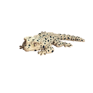 Kronegekko