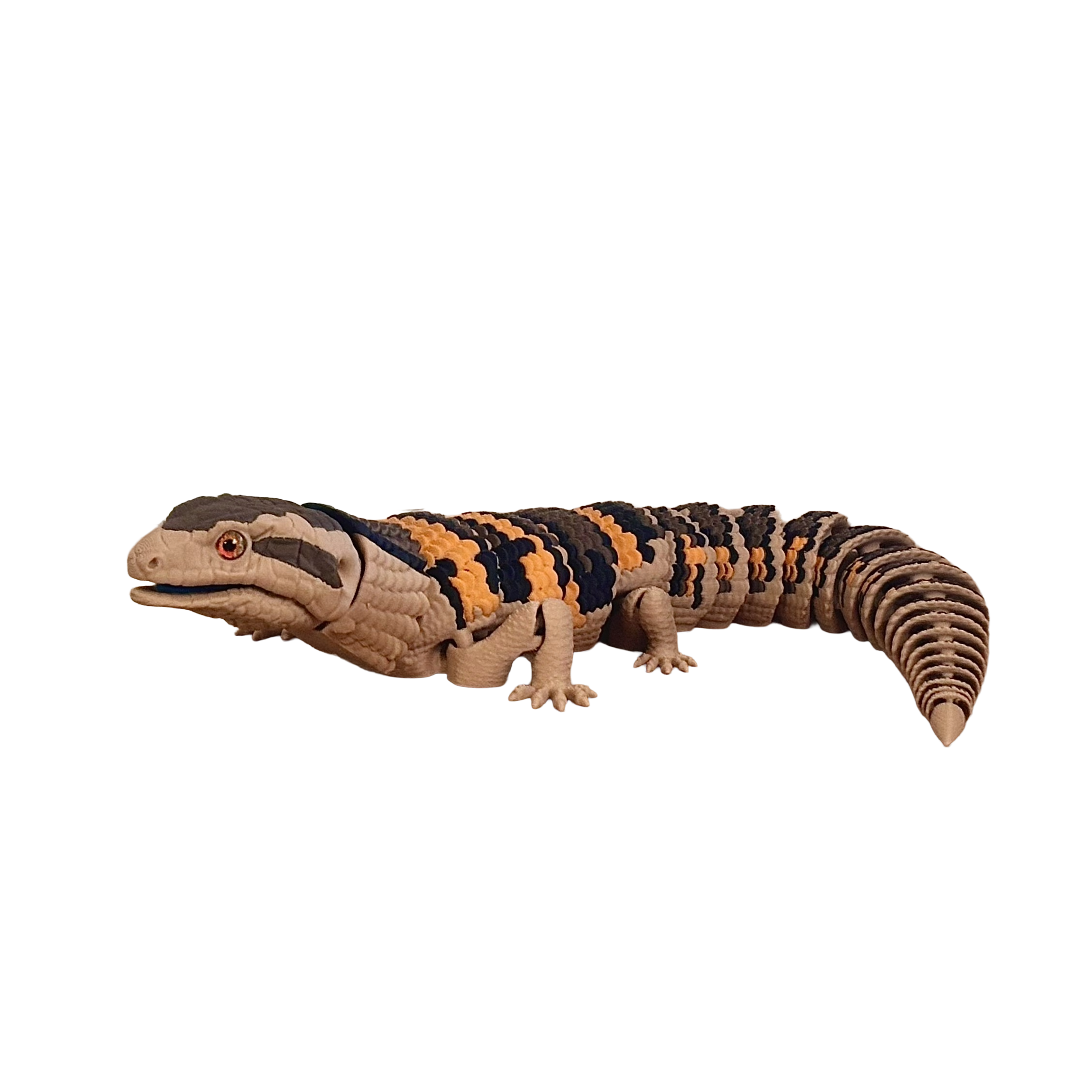 Blåtungeskink - Billede 2