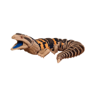Blåtungeskink