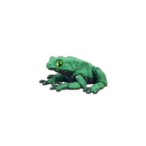 Waxy monkey tree frog