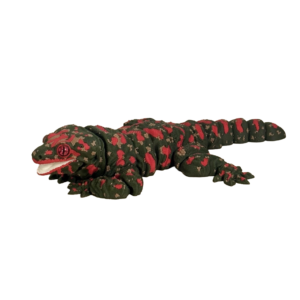 Leachieanus gekko - Lille