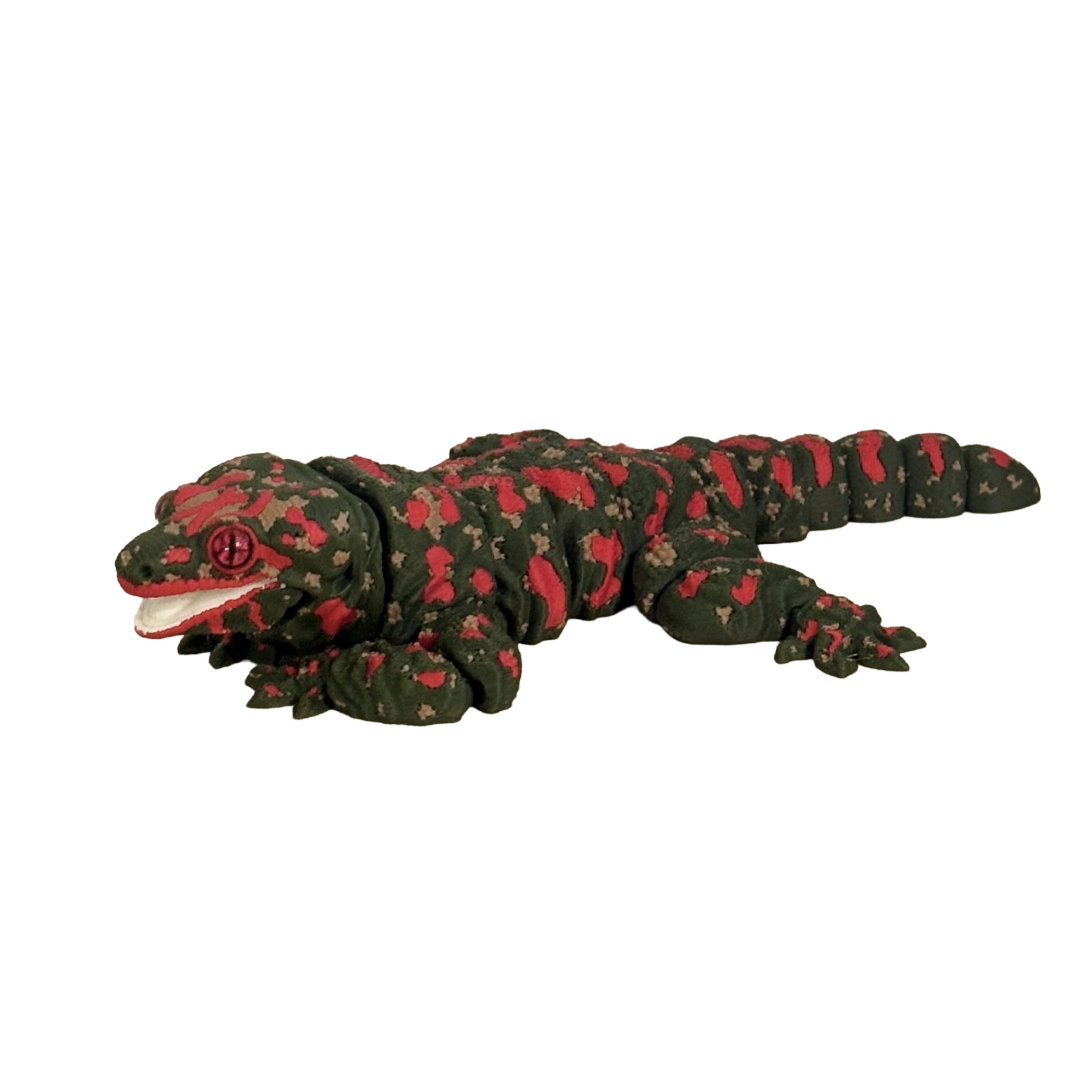 Leachieanus gekko - Lille
