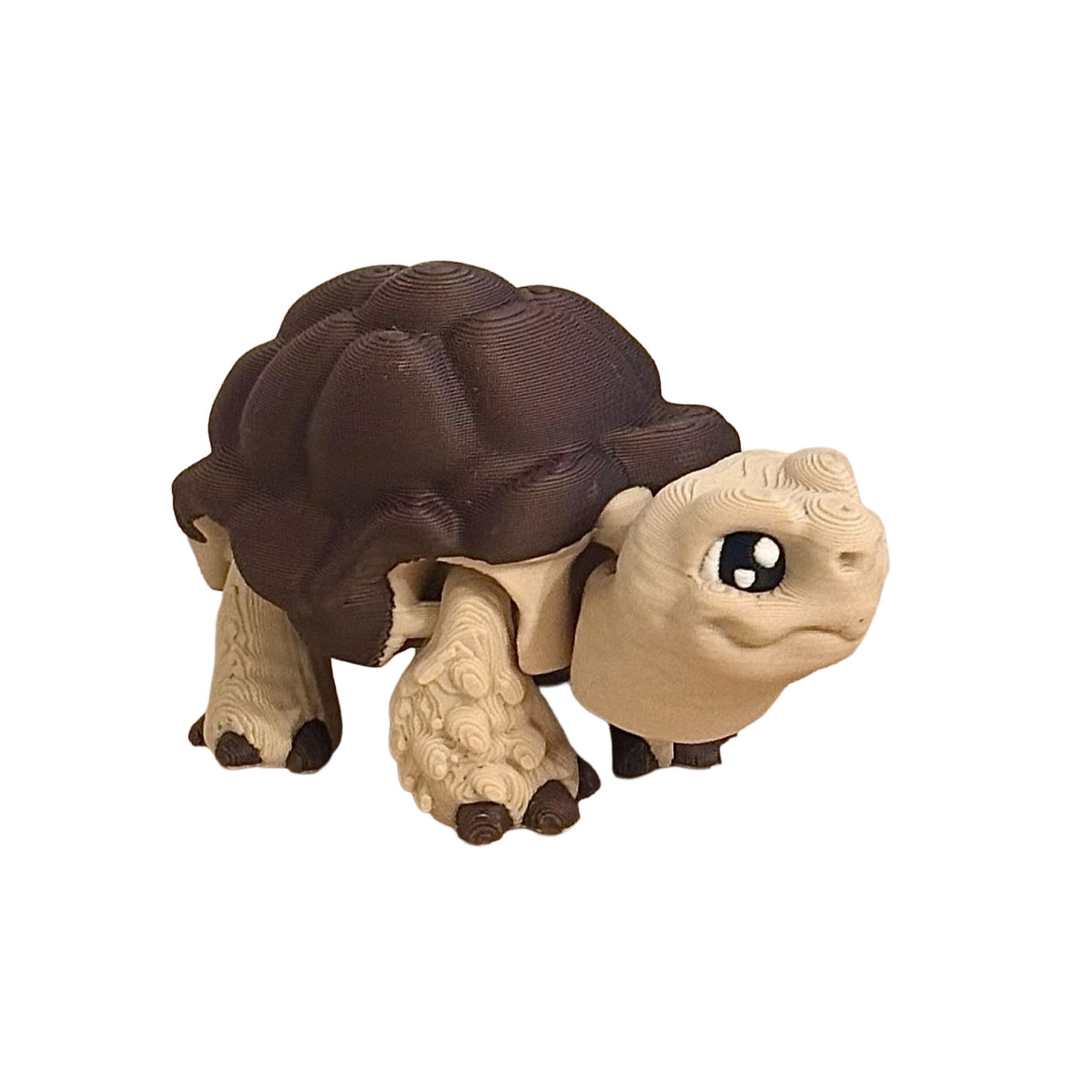 Afrikansk sporeskildpadde